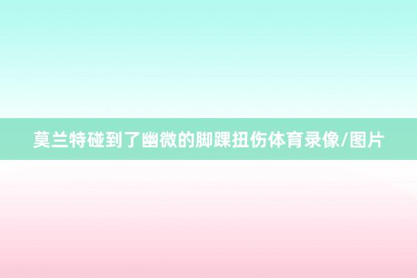 莫兰特碰到了幽微的脚踝扭伤体育录像/图片