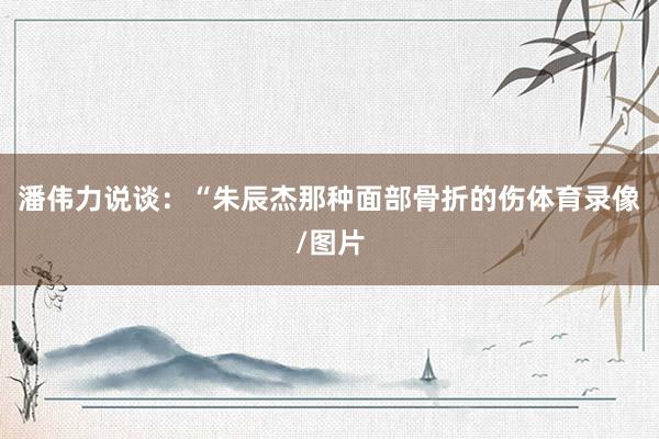 潘伟力说谈：“朱辰杰那种面部骨折的伤体育录像/图片