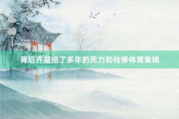 背后齐凝结了多年的死力和检修体育集锦
