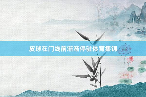 皮球在门线前渐渐停驻体育集锦