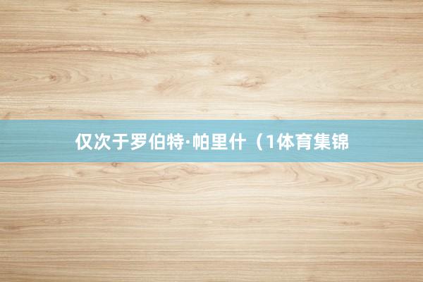 仅次于罗伯特·帕里什（1体育集锦