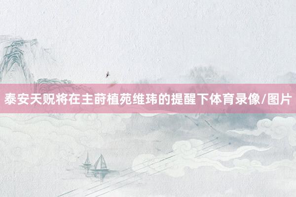 泰安天贶将在主莳植苑维玮的提醒下体育录像/图片