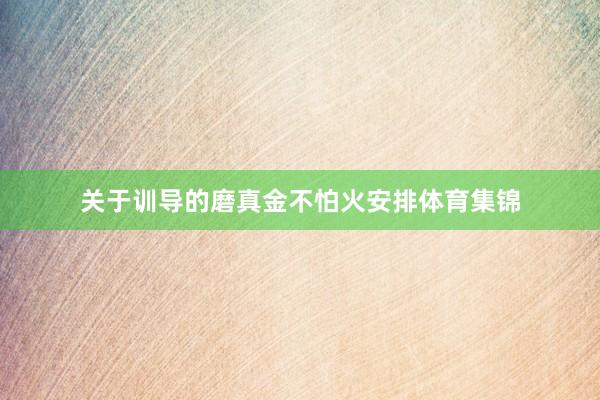 关于训导的磨真金不怕火安排体育集锦